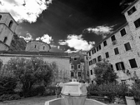 Kotor